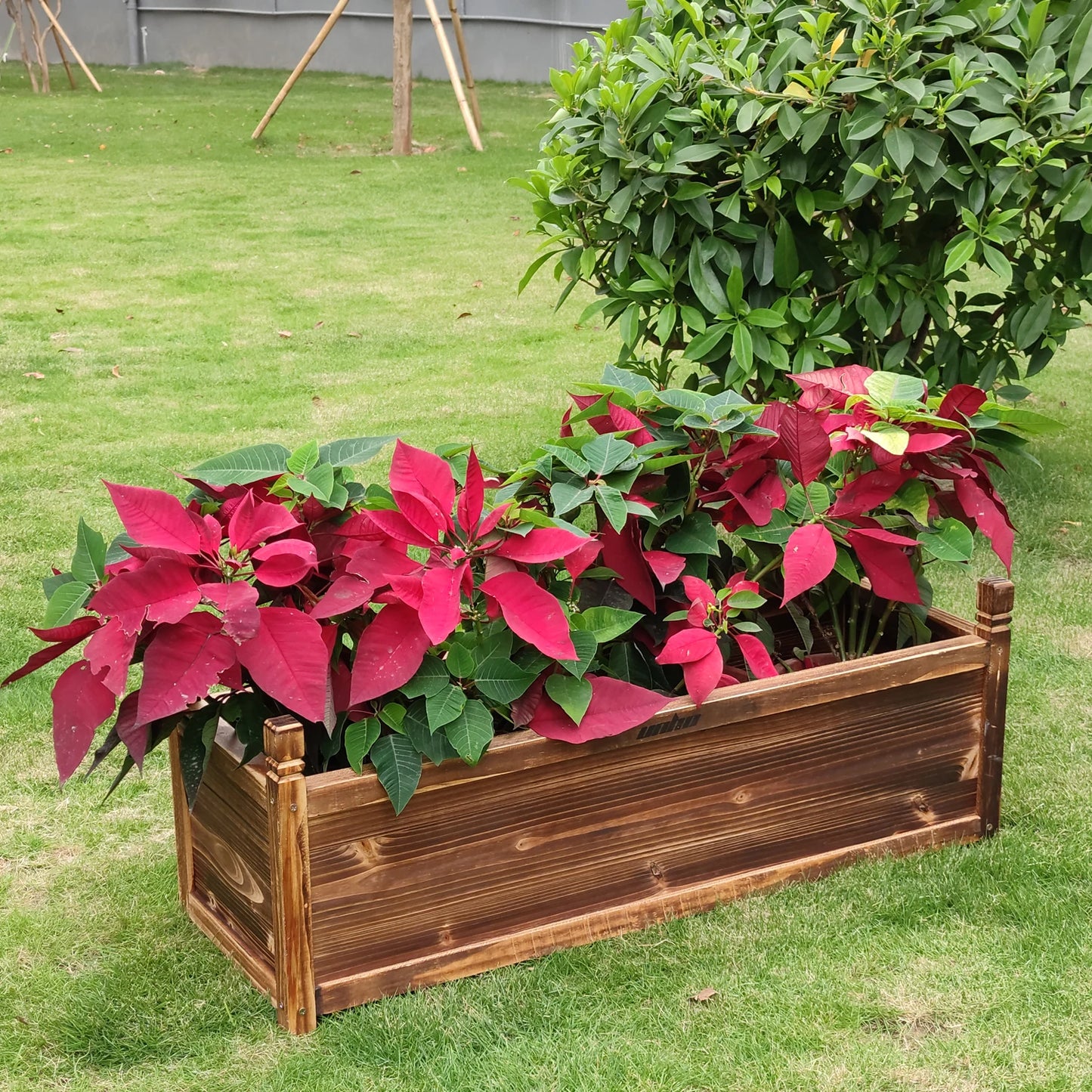 Raised Garden Bed Flower or Vegetable Planter Window Mounted Plant Box for Garden Yard Wooden Planter Box