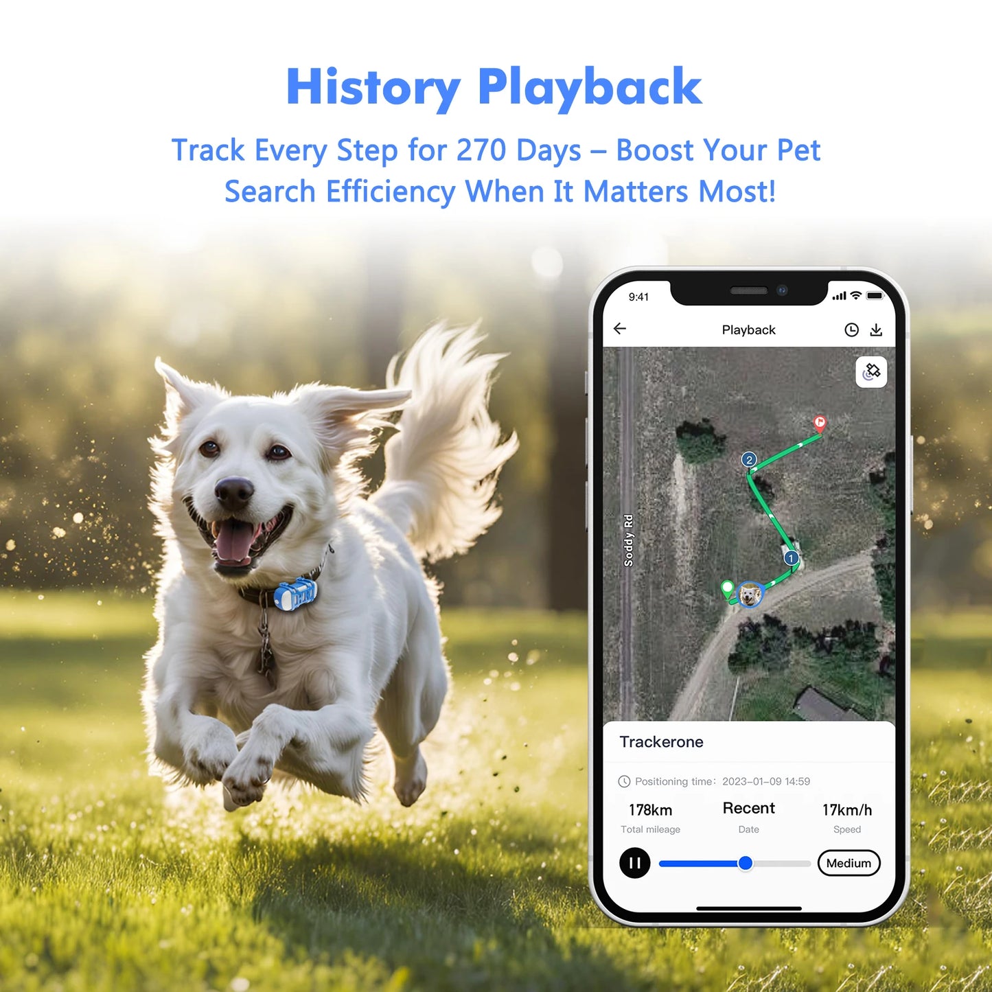 4G Dog Cat GPS Tracker for Pets - Waterproof Smart Locator with App, Live Tracking & Light/Sound Search, Free Trial Included - Get Outside Today 25