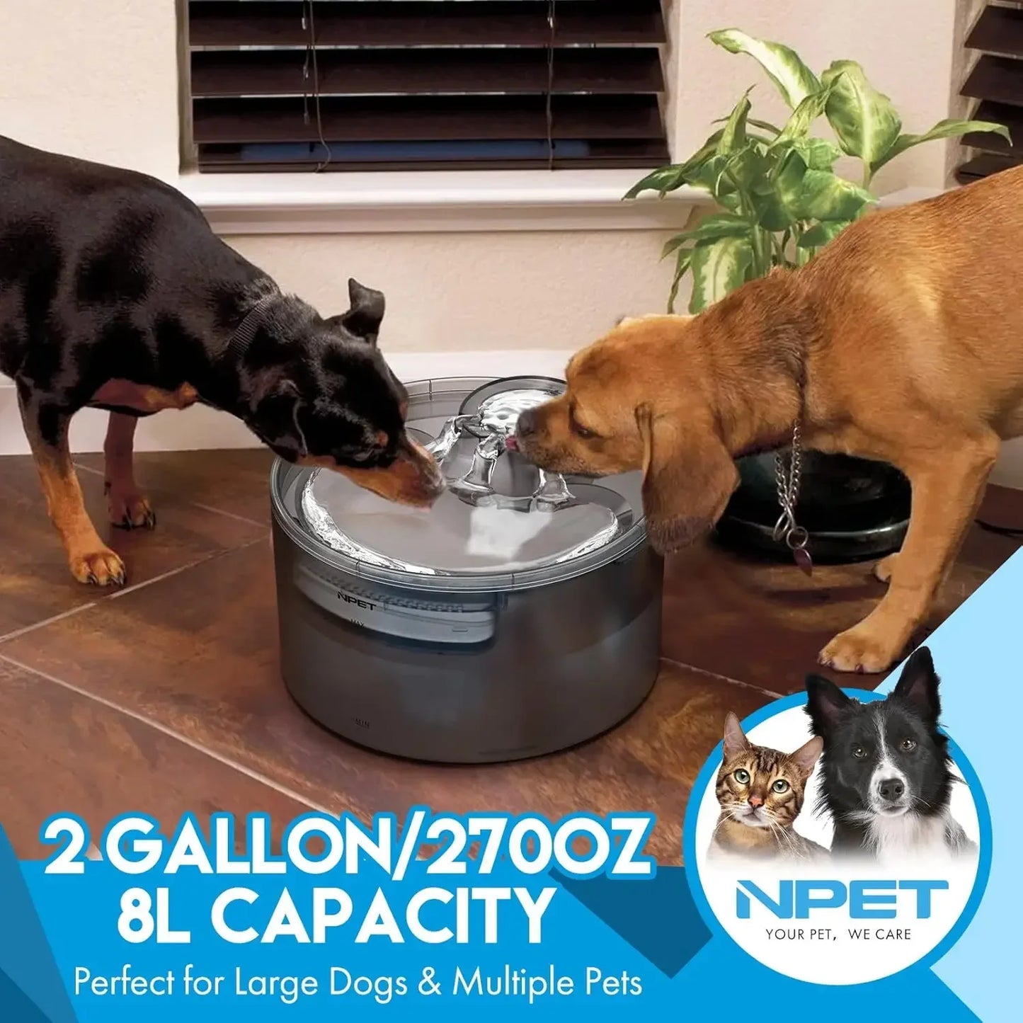 NPET Dog Water Fountain, 2 Gallon Automatic Dispenser - Get Outside Today 25