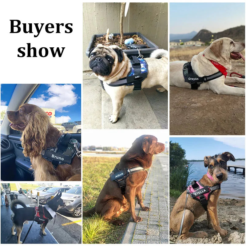 Personalized Dog Harness NO PULL Reflective Breathable Vest - Get Outside Today 25