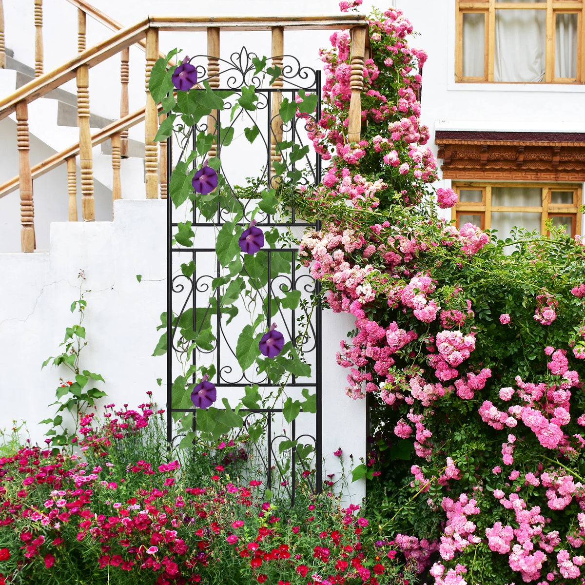 Two Pack Tall Rustproof Metal Garden Trellis For Climbing Plants Fence Support - Get Outside Today 25