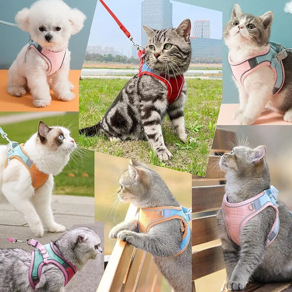 Escape Proof Cat Harness Leash Collar Set Adjustable Reflective Vest For Walking