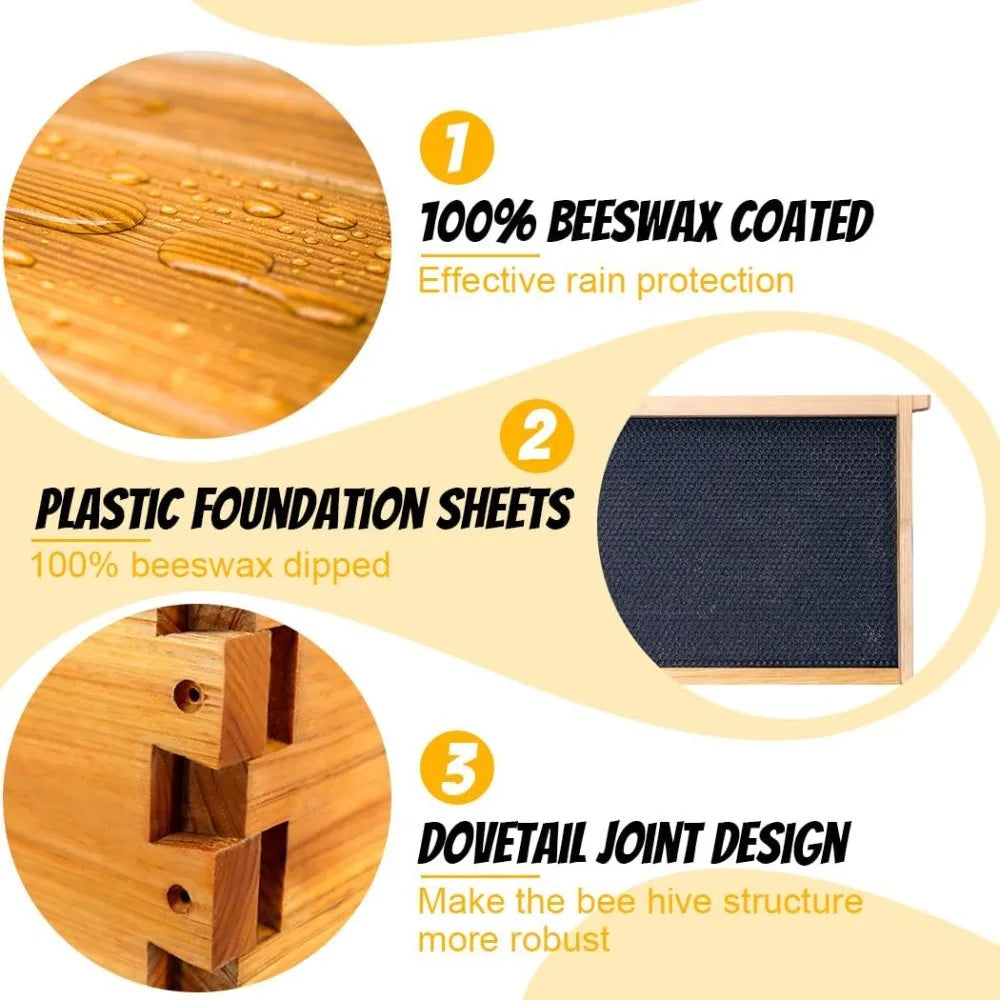 Bee Hives Boxes Starter Kit for Beekeepers 8 Frame Langstroth Design with 2 Deep Brood Boxes and 1 Medium Super Bee Box