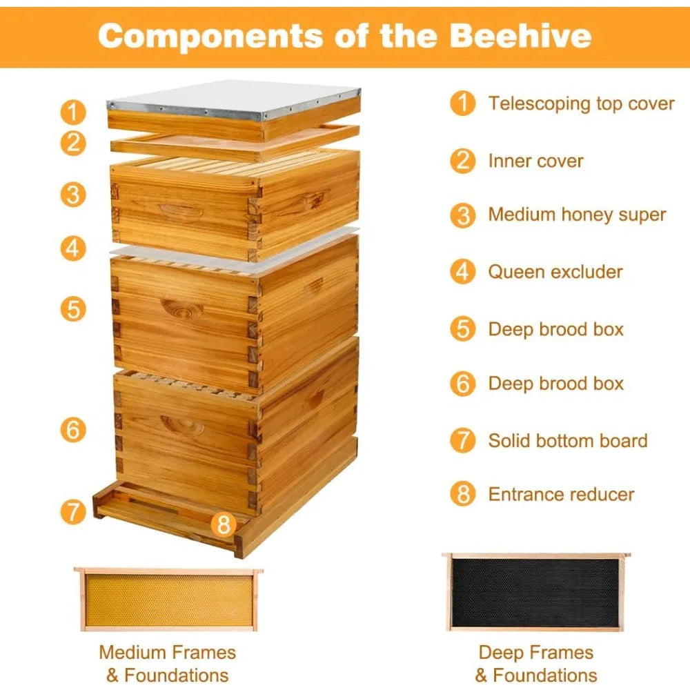 Bee Hives Boxes Starter Kit for Beekeepers 8 Frame Langstroth Design with 2 Deep Brood Boxes and 1 Medium Super Bee Box