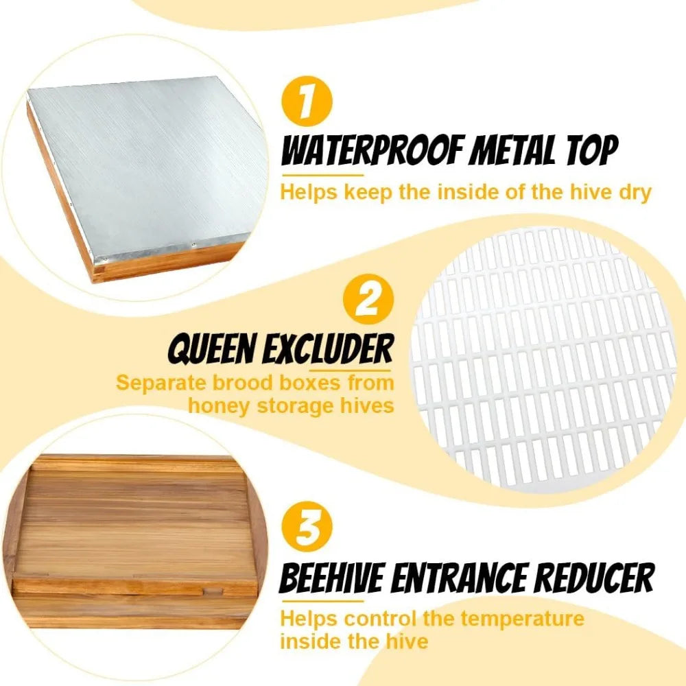 Bee Hives Boxes Starter Kit for Beekeepers 8 Frame Langstroth Design with 2 Deep Brood Boxes and 1 Medium Super Bee Box