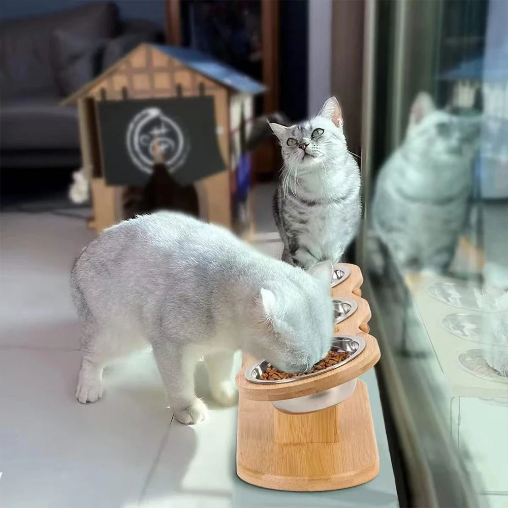 Tilted Raised Cat Feeder Three In One Stainless Bowls - Get Outside Today 25