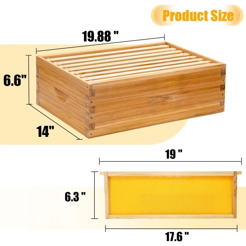 Bee Hives Boxes Starter Kit for Beekeepers 8 Frame Langstroth Design with 2 Deep Brood Boxes and 1 Medium Super Bee Box