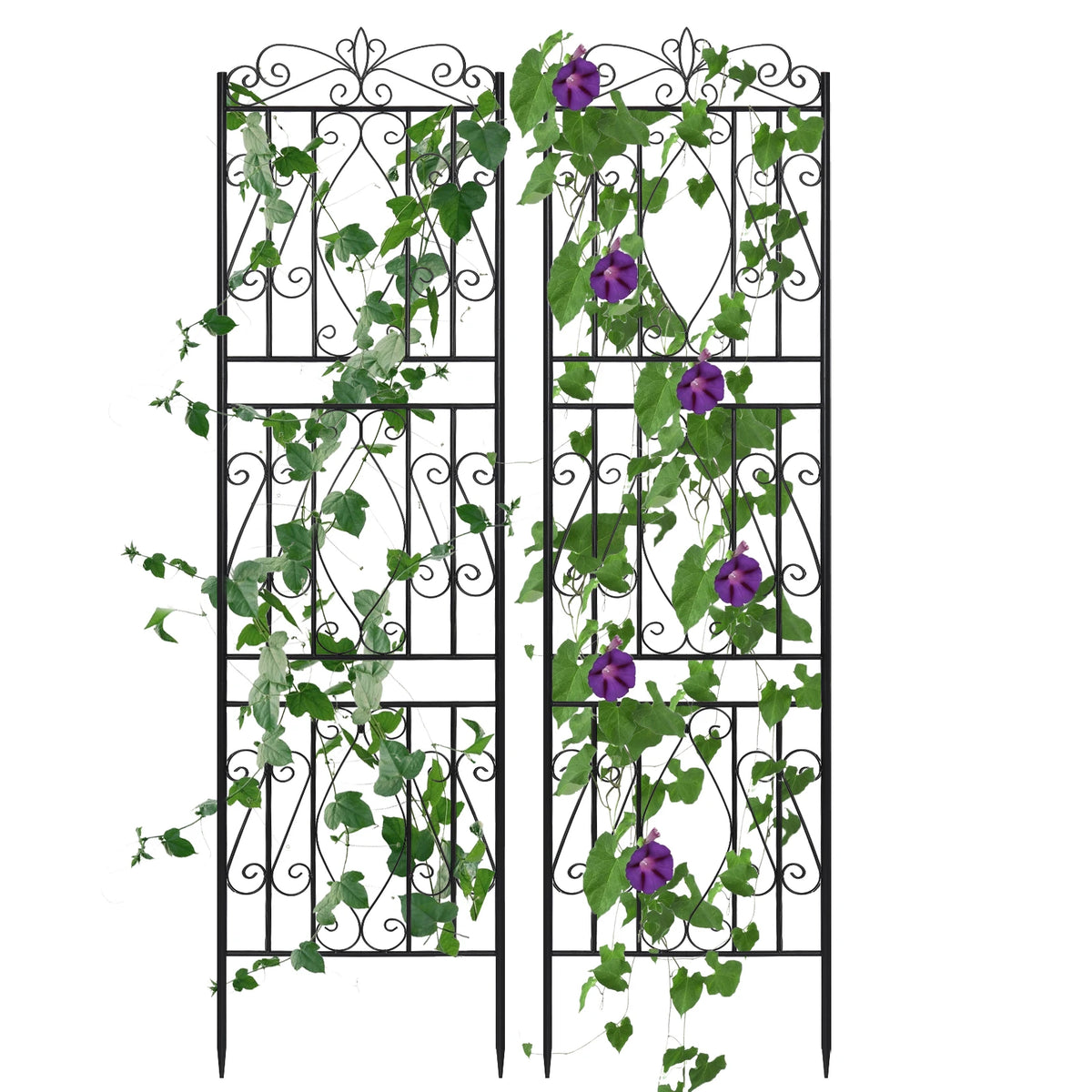 Two Pack Tall Rustproof Metal Garden Trellis For Climbing Plants Fence Support - Get Outside Today 25