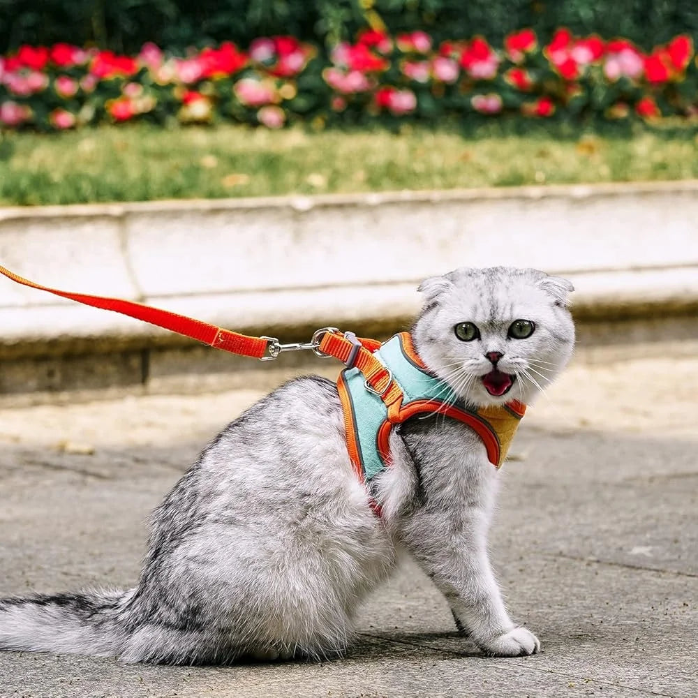 Escape Proof Cat Harness Leash Collar Set Adjustable Reflective Vest For Walking